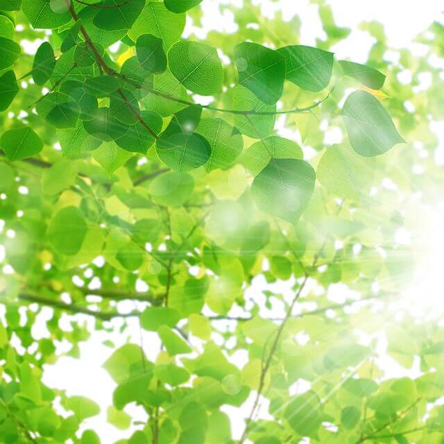 障碍者歯科イメージ